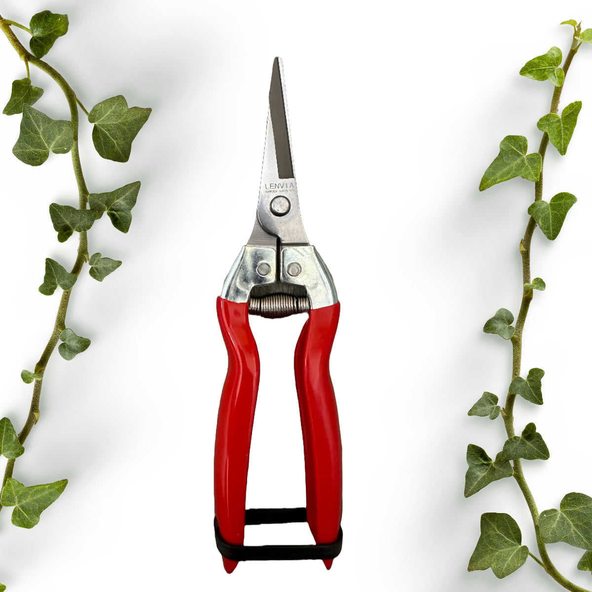 Revolutionize Your Gardening with Lenvia's 7.5-Inch Stainless Steel Pruning Scissors